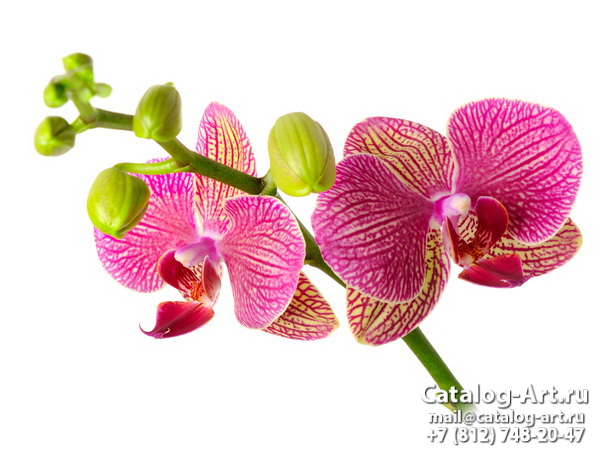 Натяжные потолки с фотопечатью - Розовые орхидеи 41